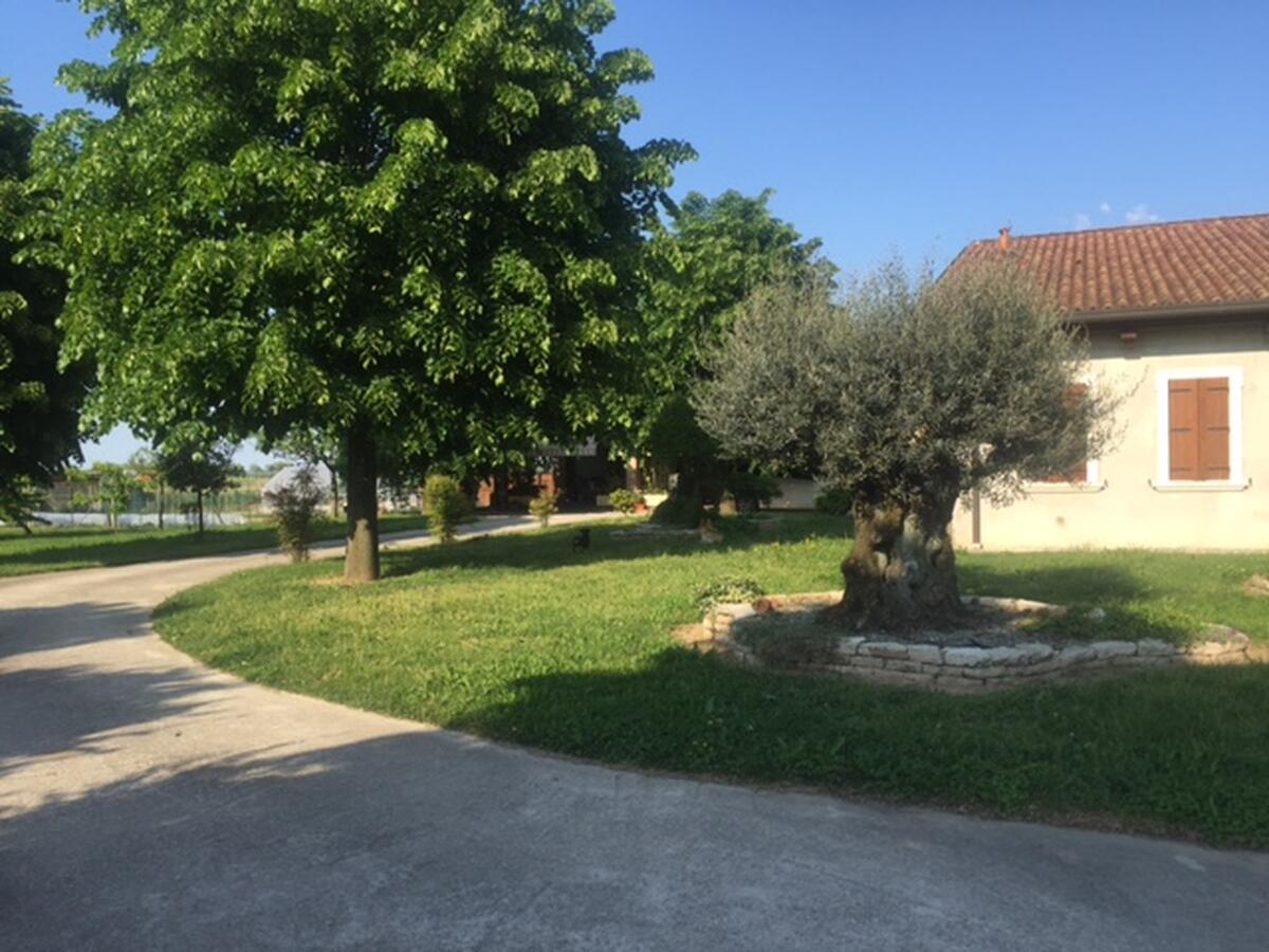 immagine annuncio 6 di 15