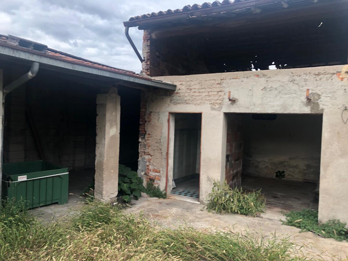 immagine annuncio 9 di 14